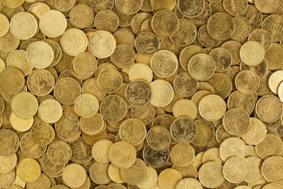Immagine selezionata