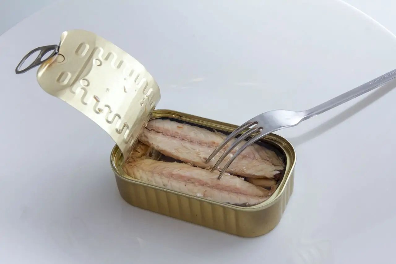Immagine selezionata